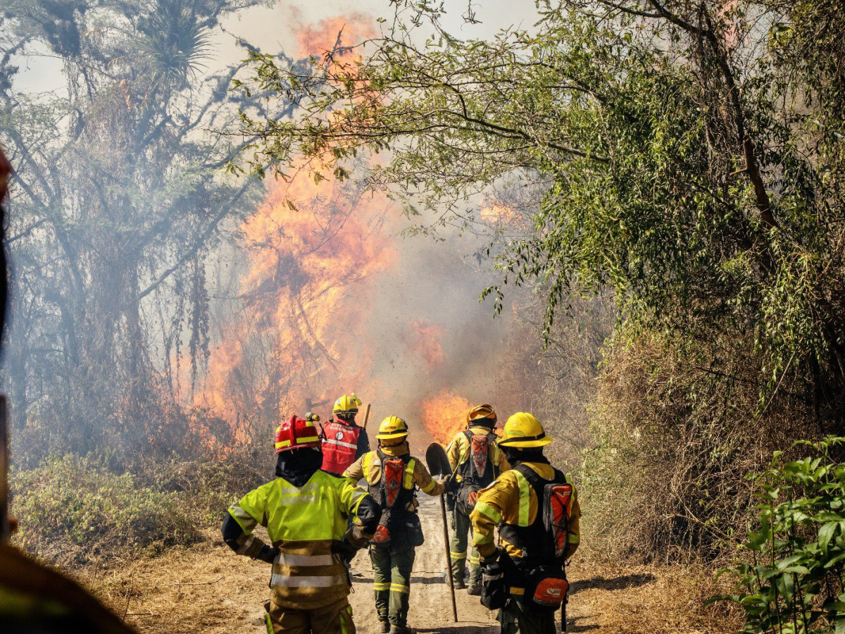 FRENAR INCENDIOS FORESTALES EN QUITO ES TRABAJO CONJUNTO CON LA CIUDADANÍA