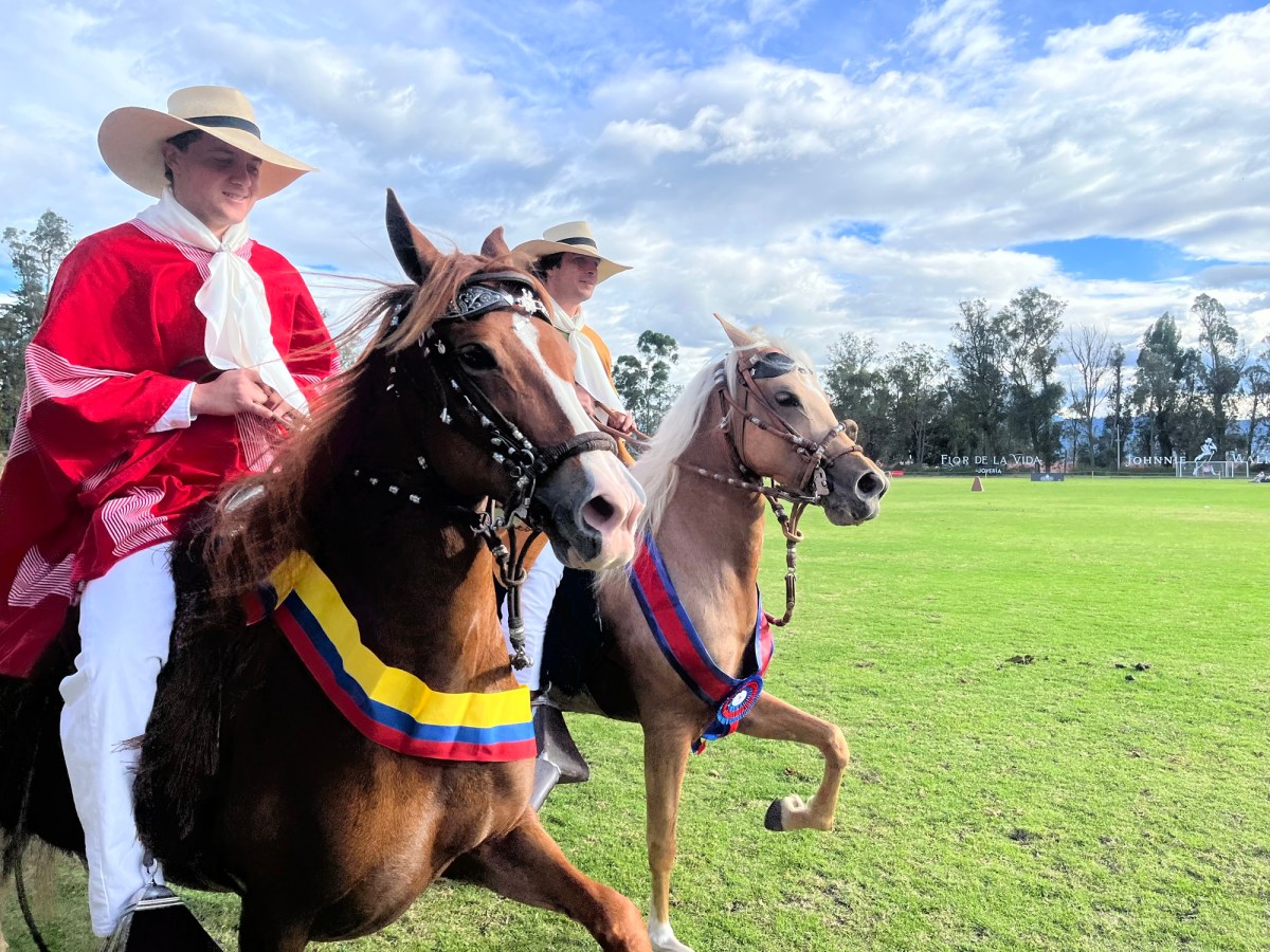 Caballo peruano de paso, un símbolo de historia y tradición que brillará en concurso en Quito