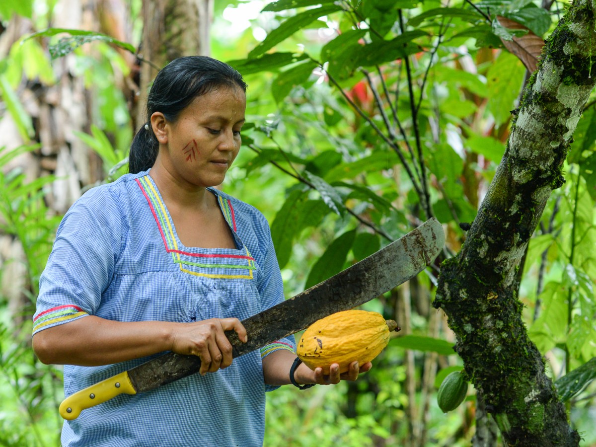 MUJER RURAL, EL MOTOR DE LAS ECONOMÍAS COMUNITARIAS