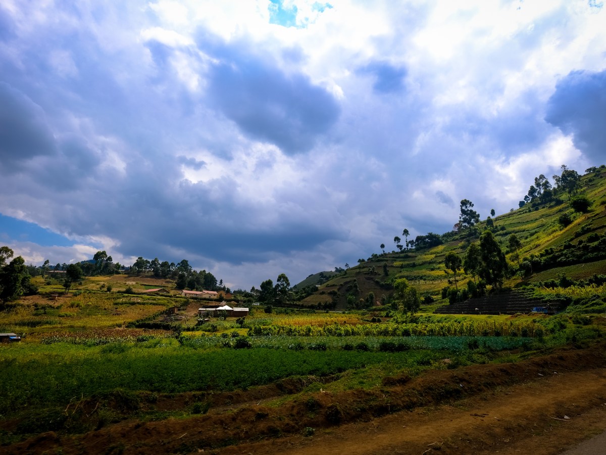 Del campo a la mesa y el compromiso de cuidar lo que comemos