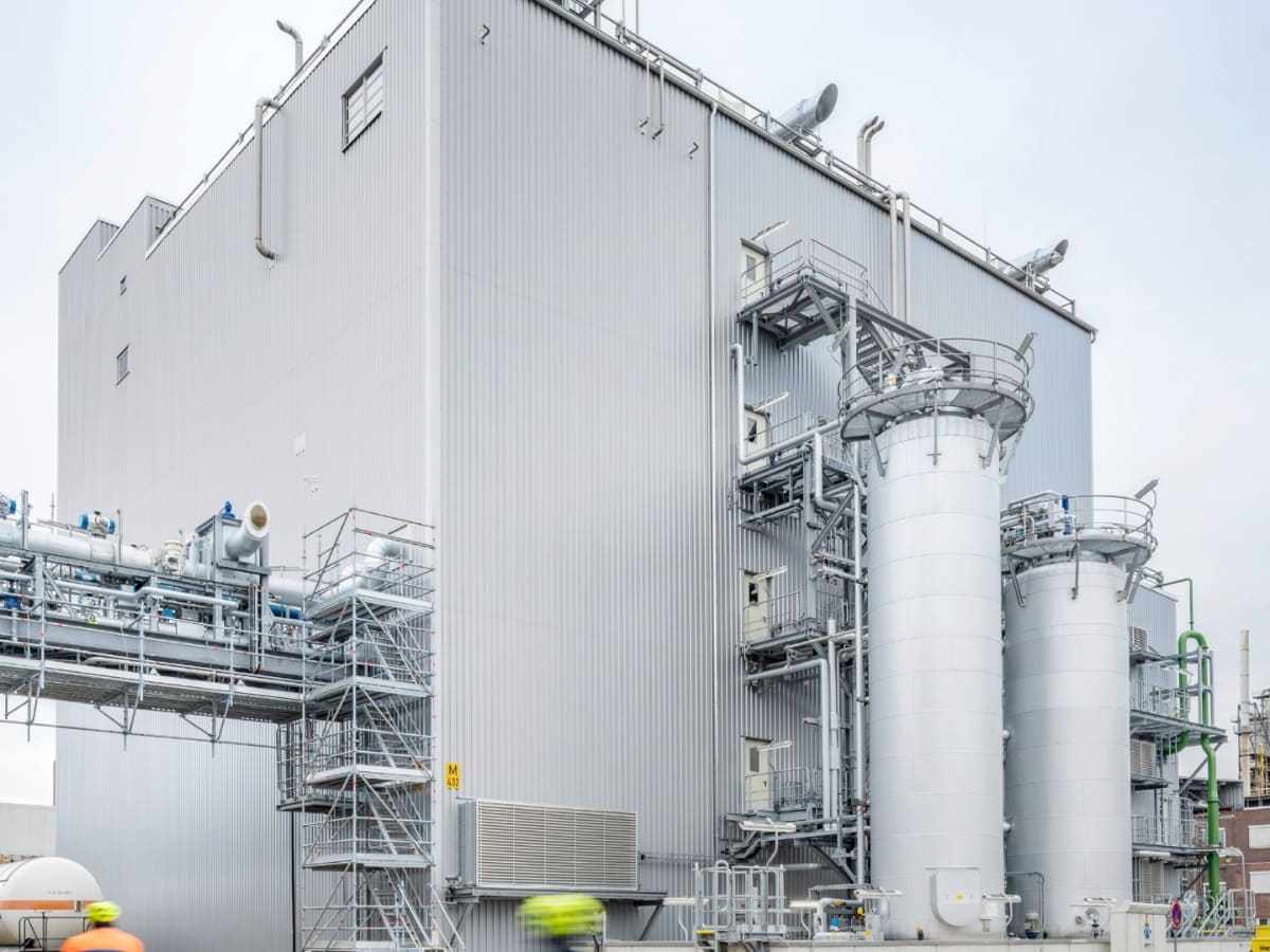 BASF fortalece su innovación en soluciones biológicas para impulsar una agricultura más sostenible.